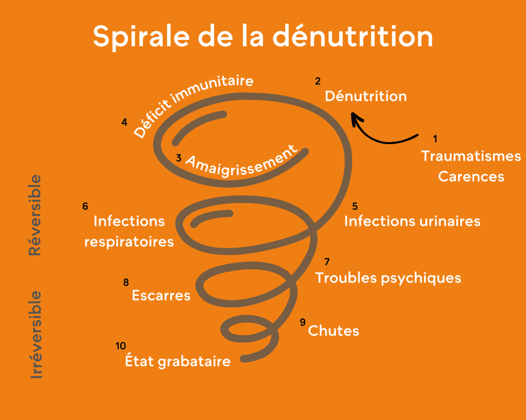 Spirale de la dénutrition